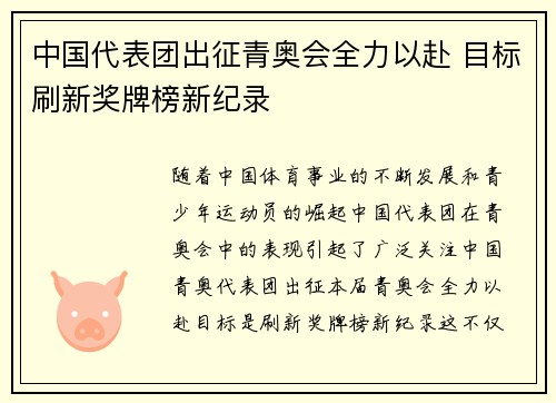 中国代表团出征青奥会全力以赴 目标刷新奖牌榜新纪录